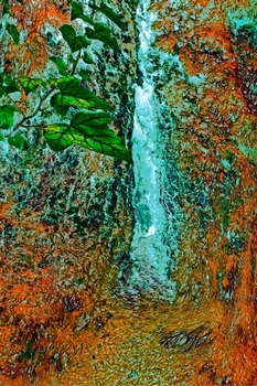 N 133D